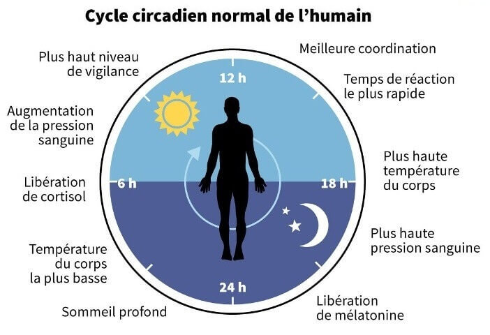 Sommeil, cycles-circadiens et température corporelle
